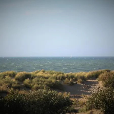 Apartamento Beachfront Beauty De Haan